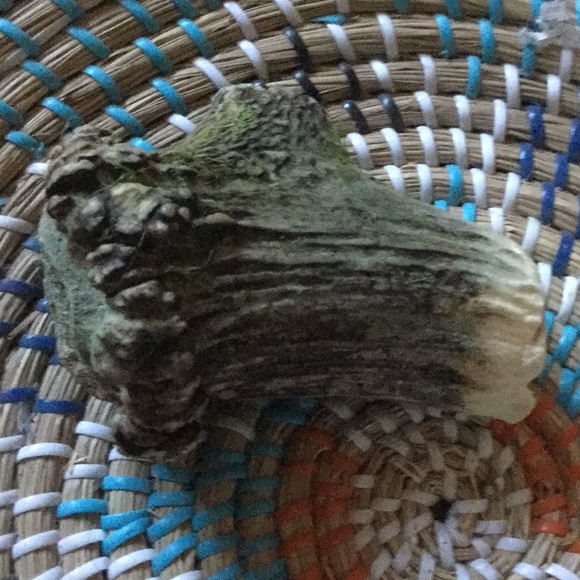 Mother Nature elk antler piece art decor primitive rustic garden craft - Picture 3 of 5